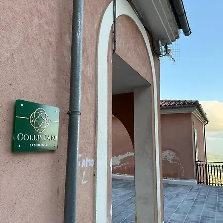 Apartment Collis Iani - Experience