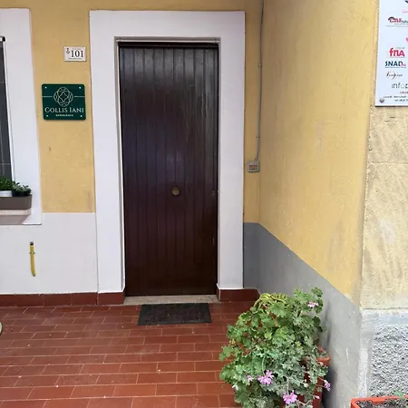 Apartment Collis Iani - Experience *
